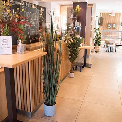 Counter of a restaurant with plants