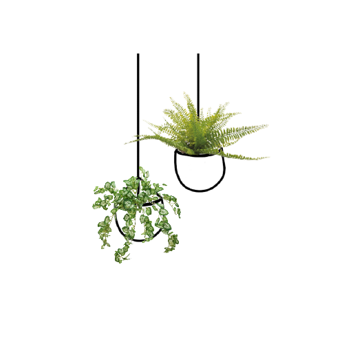 Abbildung von hängenden Pflanzen