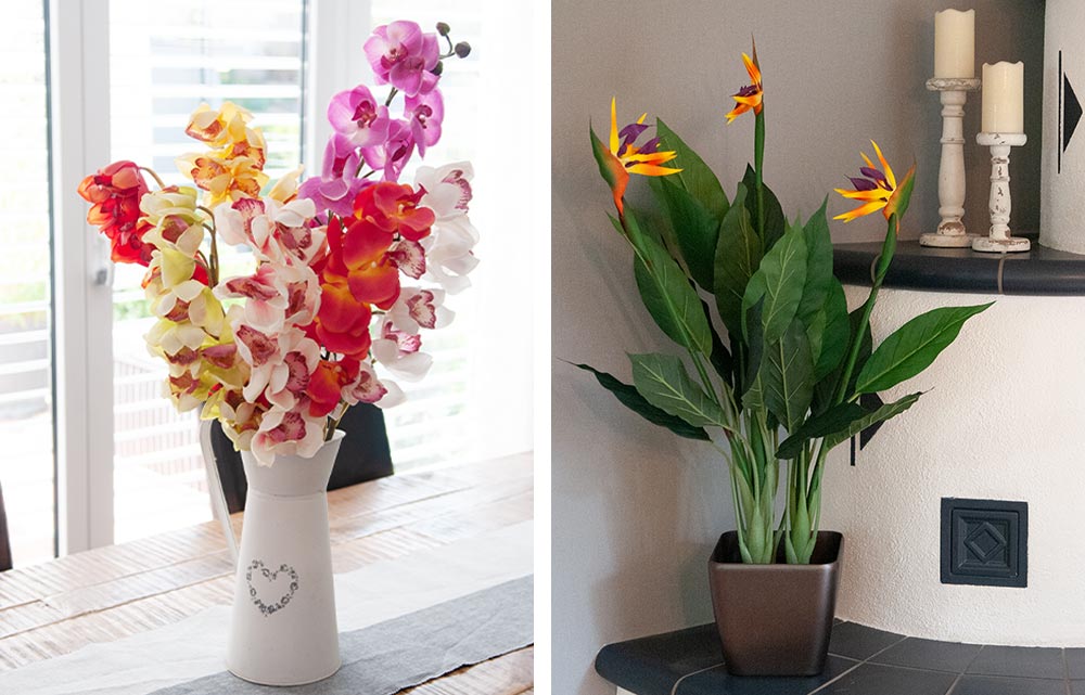 Orchid arrangement, Bird-of-paradise flower