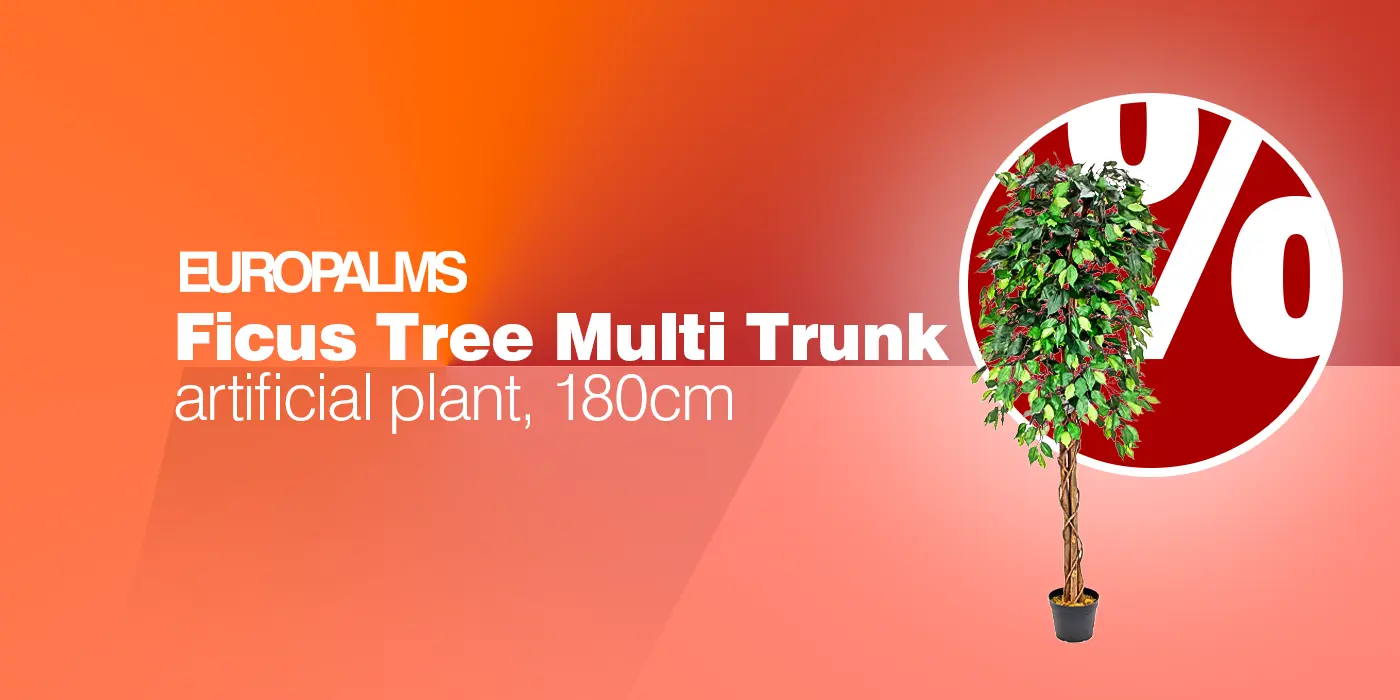 EUROPALMS Ficus-Benjamini Multi-Stamm, Kunstpflanze, 180cm