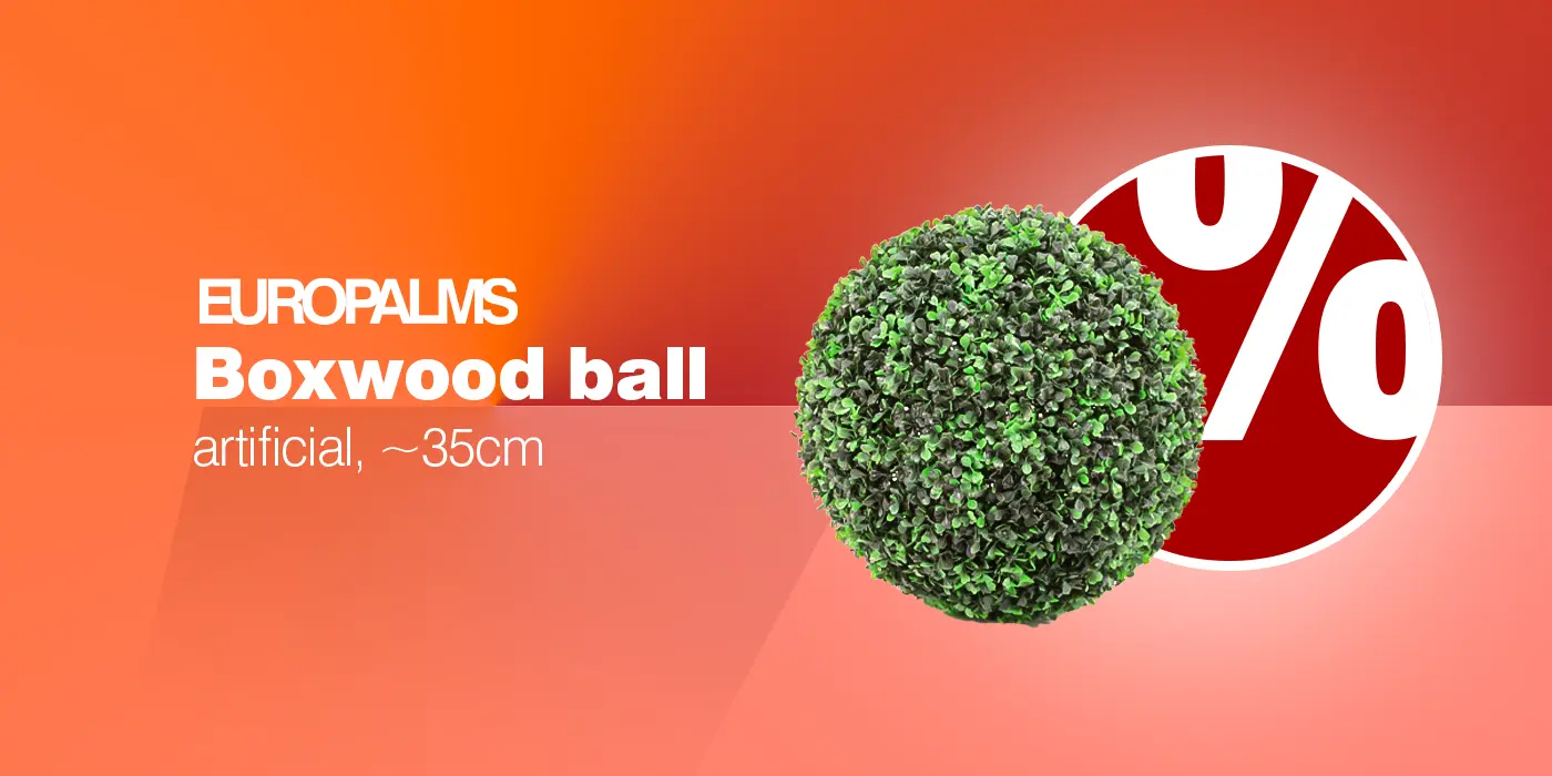 EUROPALMS Buchskugel, 35cm