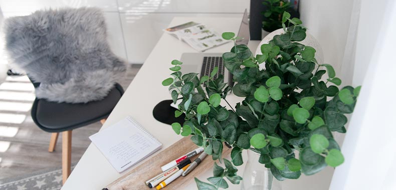 Décoration de bureau à domicile